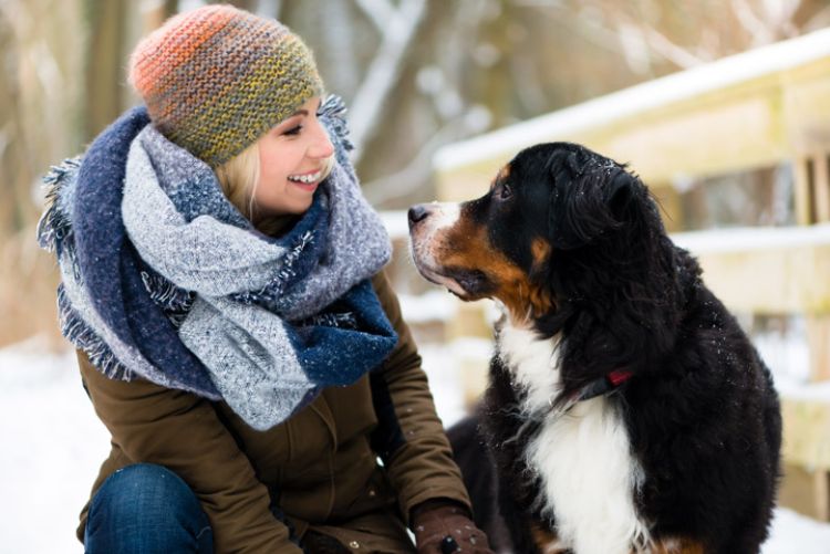 Fototipp Hund und Besitzer