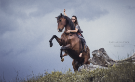 Pferdefotografie: Pferde in Bewegung fotografieren