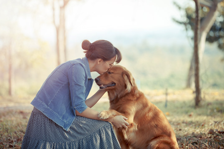 Fototipp Hundefotografie Spezialobjektiv