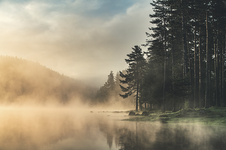 Landschaftsfotografie Nebel